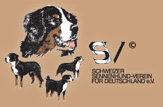 Logo des Vereins SSV